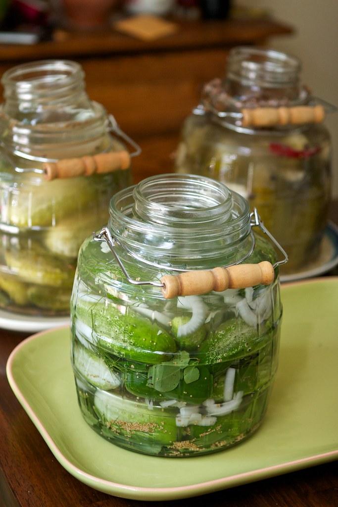 Fermented Foods: A Flavorful Voyage to Better Health